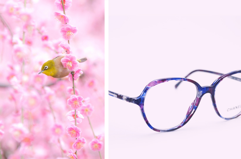 Occhiali da vista Chanel-2016-rosa e blu