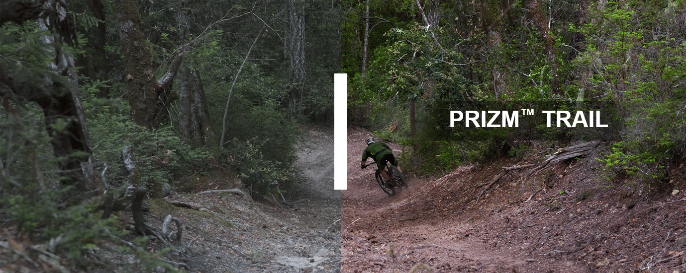Oakley Prizm Trail: lenti per MTB e trail che fanno risaltare radici, rocce e solchi sotto la vegetazione